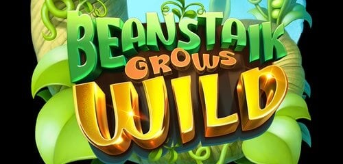 Beanstalk Grows Wild