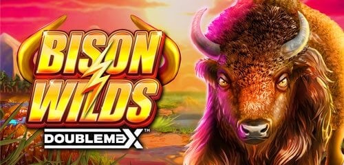 Bison Wilds DoubleMax