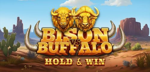 Bison vs Buffalo