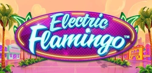 Electric Flamingo