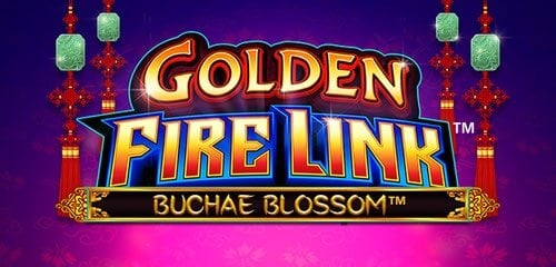 Golden Fire Link Buchae Blossom