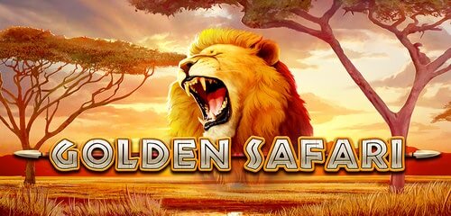 Golden Safari