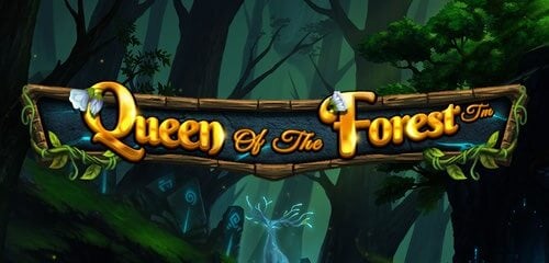 Play Queen Of The Forest at ICE36 Casino