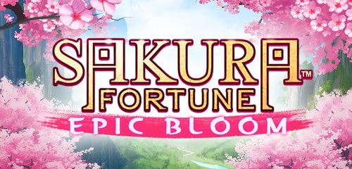 Sakura Fortune Epic Bloom