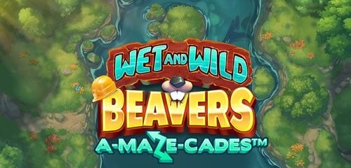 Wet and Wild Beavers