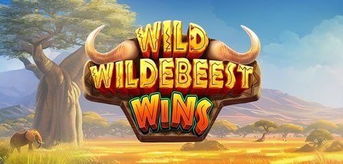 Wild Wildebeest Wins