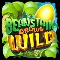 Beanstalk Grows Wild