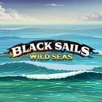 Black Sails Wild Seas