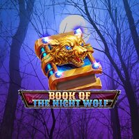 Book Of The Night Wolf