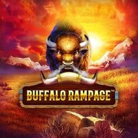 Buffalo Rampage