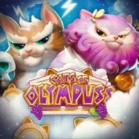 Cats of Olympuss