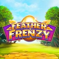 Feather Frenzy