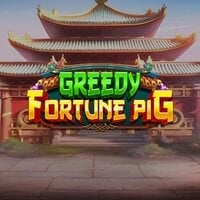 Greedy Fortune Pig