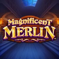 Magnificent Merlin