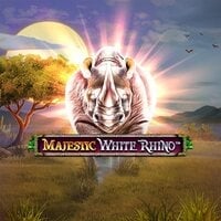 Majestic White Rhino