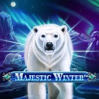 Majestic Winter