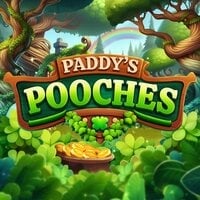 Paddy's Pooches