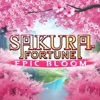 Sakura Fortune Epic Bloom