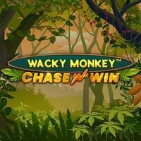 Wacky Monkey ChaseNWin