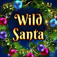 Wild Santa