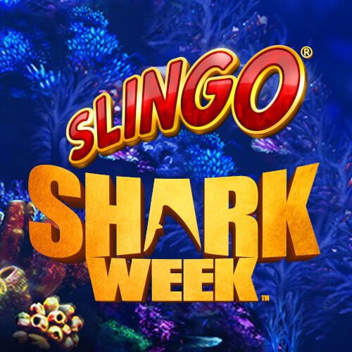 Play Shark Squad at Slingo