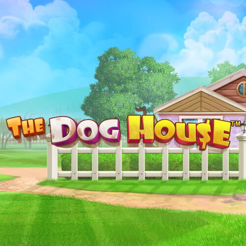 Play dog hot sale house