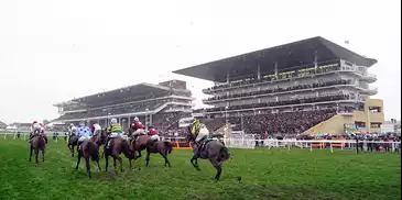 Cheltenham Festival 2025: How To Watch Every Race