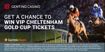 Get a chance to win vip cheltenham tickets