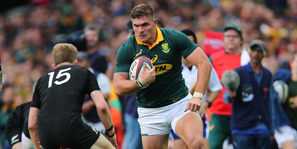 Springboks v All Blacks Preview