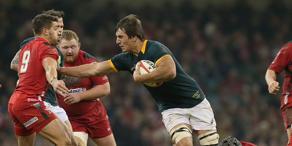 Springboks v Wales Preview - 3rd Test