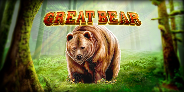 Great Bear Review