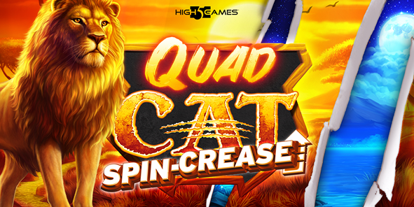 Quad Cat Review