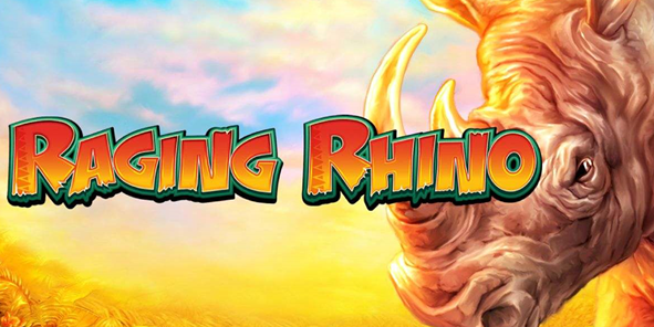 Raging Rhino Review