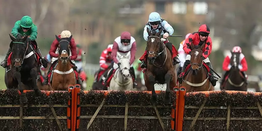 Sandown Tingle Creek Day Preview