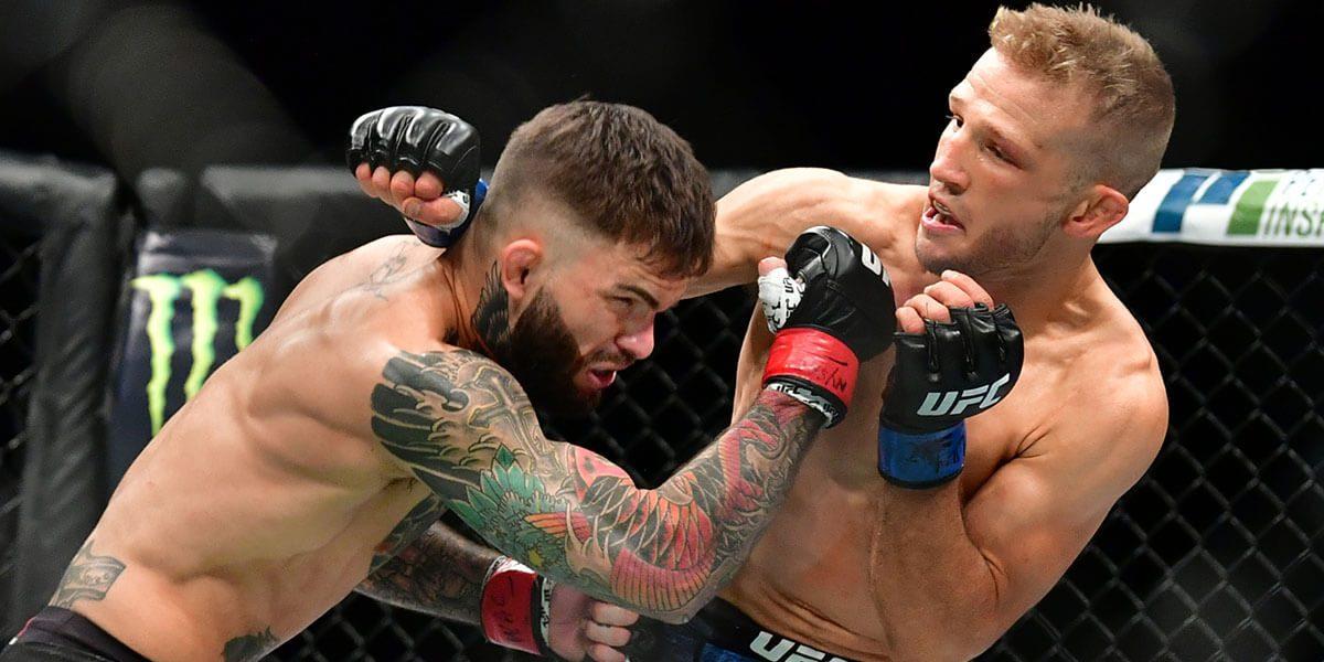 UFC Fight Night: Garbrandt vs Dillashaw - MMA Betting Preview