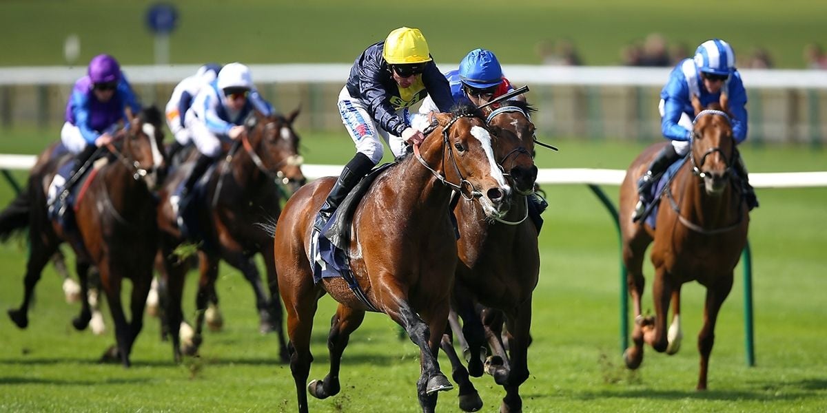 Wednesday Racing - Newmarket Betting Preview