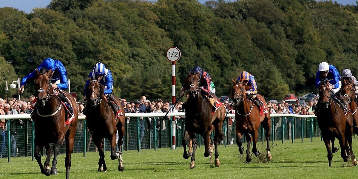 Haydock Sprint Cup - Betting Preview