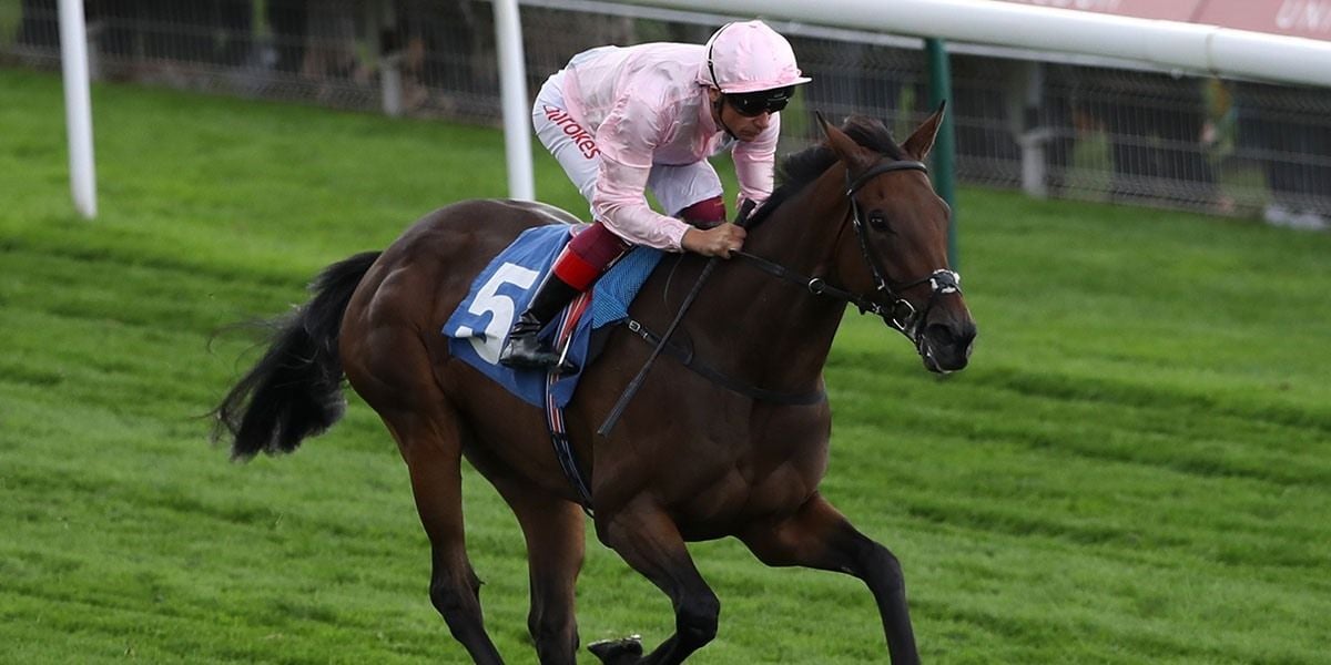 St Leger - Betting Preview