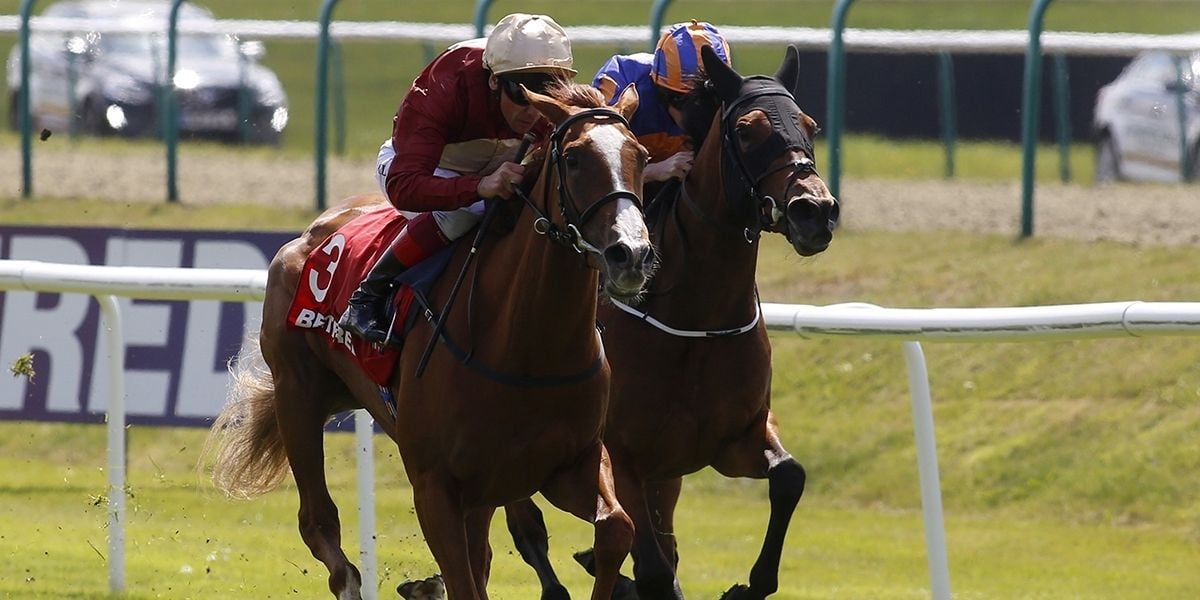 Saturday Racing - Lingfield Betting Preview