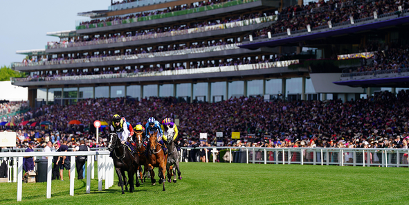 Royal Ascot Day Five Preview 