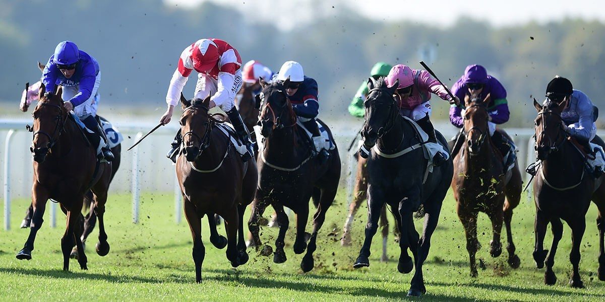 Irish Oaks - Betting Preview