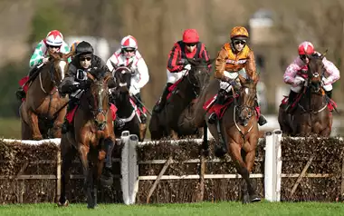 Tingle Creek Festival Betting Tips - Day One 