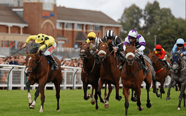 Ayr Gold Cup Betting Tips