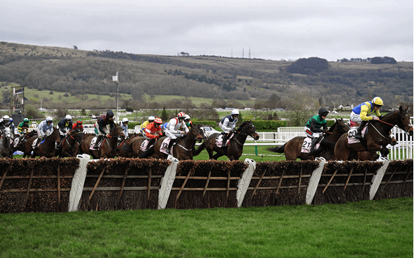 Cheltenham November Meeting Betting Tips - Day 2