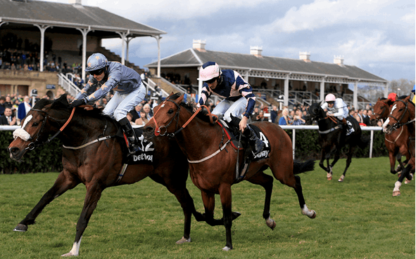 St Leger Day Betting Tips