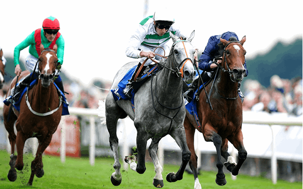 Ebor Festival Betting Tips - Day 2 