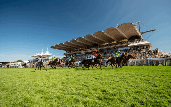 Goodwood Sussex Stakes Day Betting Tips