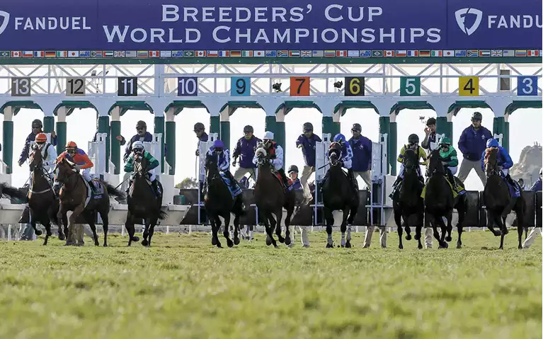 Breeders' Cup Betting Tips - Day 2