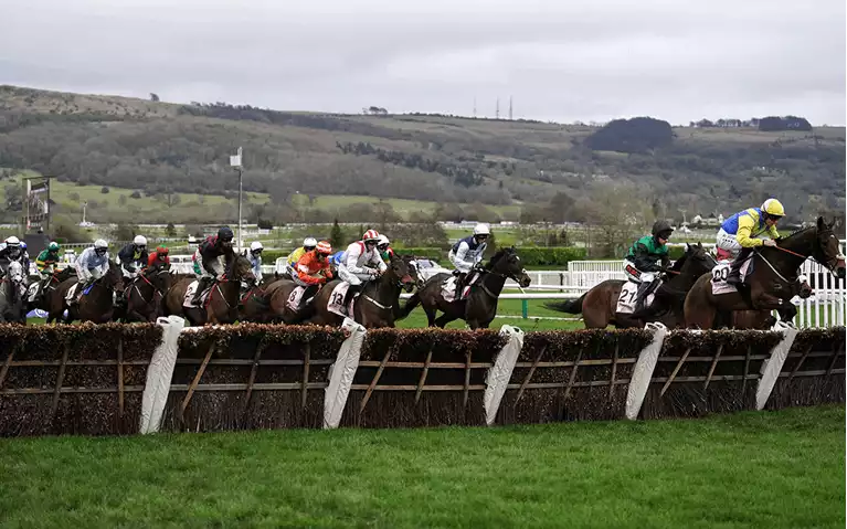 Cheltenham November Meeting Betting Tips - Day 2