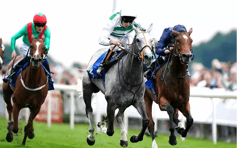 Ebor Festival Betting Tips - Day 2 